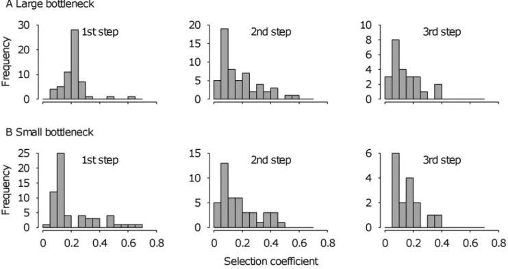 Figure 4A shows that adaptive walks tend to be short, with a mean of 2.20 steps for the entire experiment