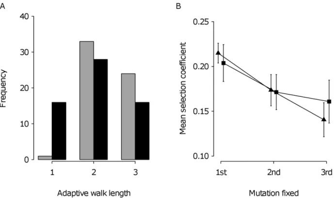 Table 1. Analysis of covariance (Type III) between mean fitness effect at each step and the number of steps taken.