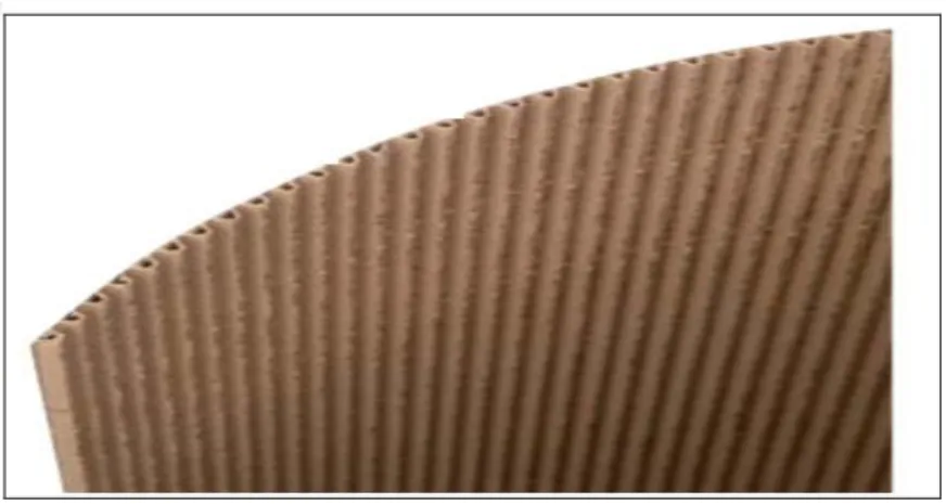 Figure II.1 : Format du papier carton 
