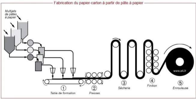 Figure II.4. Fabrication du papier carton à partir de pâte à papier 