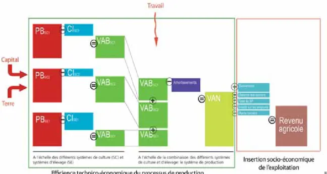 Figure 3 : Représentation des revenus dégagé par exploitation en fonction de la surface exploitée par actif familial