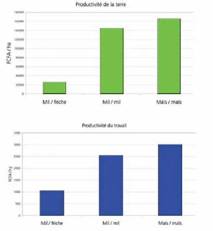 Figure 6 : Comparaison des productivités des systèmes de culture continue et des systèmes de culture en rotation avec des friches à Bamba Thialène