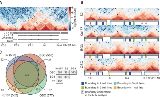 Figure 1. Genomic positions of topologically associating domains (TADs) are largely conserved among Drosophila cells of different origins