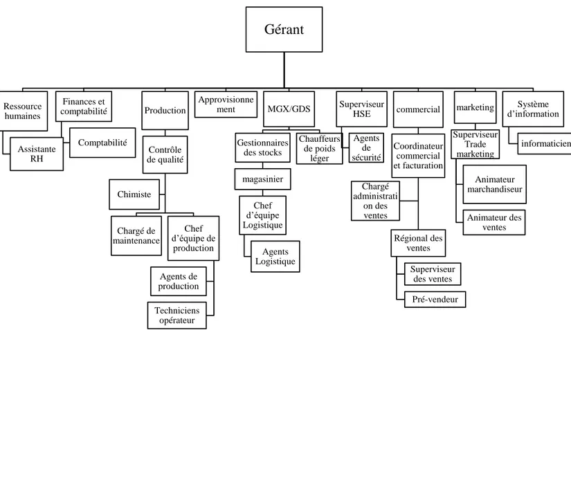 Figure I.2 Organigramme organisationnel de la société. 