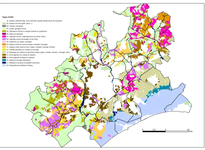 Figure 4 : Carte des unités agro-physionomiques de Montpellier Agglomération de (Thinon et al., 2003) 