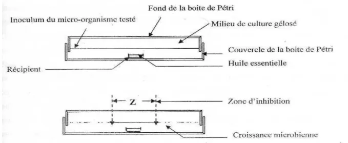 Figure 01. : Schématisation de la Technique de micro-atmosphère  IV–1-2-4- Limite de ces méthodes  