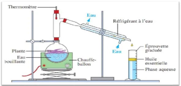 Figure 05:  allon lors drté à ébullit u par différe en raison deLa phase aqdrolat) (AnoMéthode d d’une extrac ion