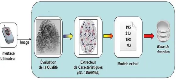 Figure 1.2 : Mode enrôlement d’un individu dans un système biométrique [8]. 