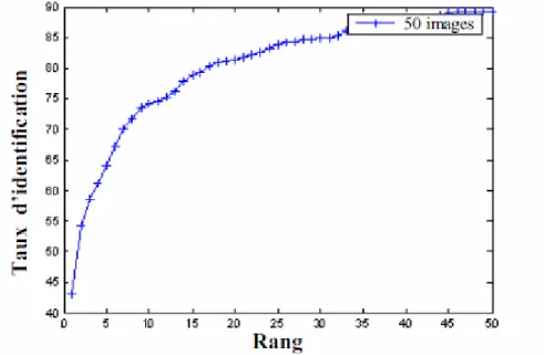 Figure 1.5 : La courbe CMC. 