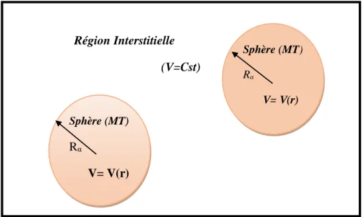 Figure II. 3 : Division d’une cellule unité en une région des sphères (MT) et une région  interstitielle