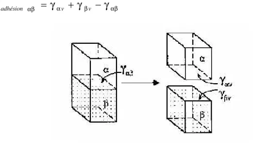 Figure 2.8: Concept illustrant le travail d’adhésion