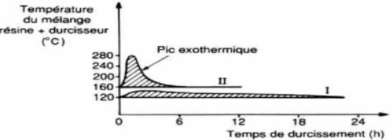 Figure 5: Analyse thermique du durcissement d’une résine [5]. 