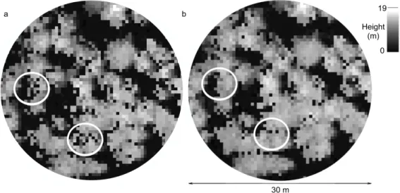 Figure 7. Difference in crown representation between basic processing (a) and advanced processing-based CHM (b)