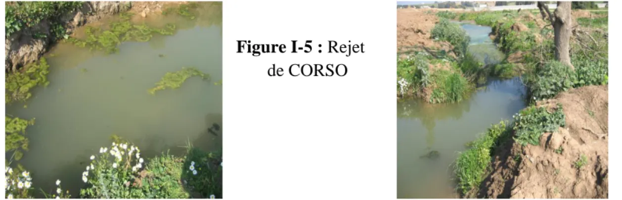 Figure I-5 : Rejet          de CORSO 