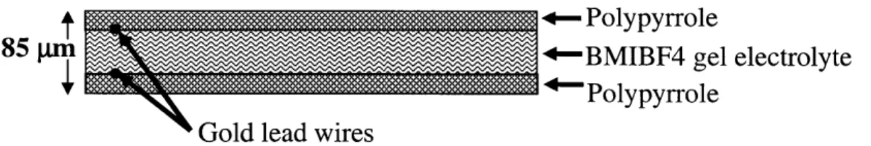 Figure  11:  The  polymer films are  laminated  into bilayers