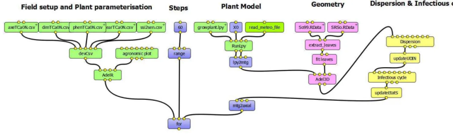Figure 1: A simulation of plant-disease interactions build under Visualea, based upon the modeling strategy  defined here