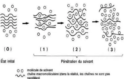 Figure III.2: Schéma représentatif de 