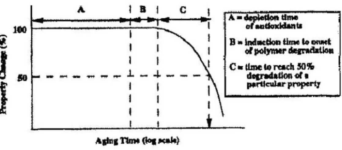 Figure III.4 : Etape de dégradation du PE en environnement extérieur [40]