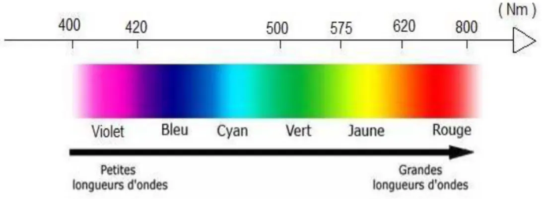 Figure II.1 : Domaines d’absorption de la lumière visible. 