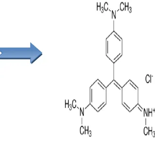 Figure IV.1 : Colorant violet de                              Figure IV.2 : structure chimique de 