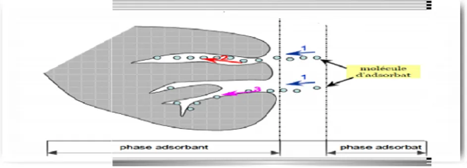 Figure II.1 : Le mécanisme d’adsorption [40].