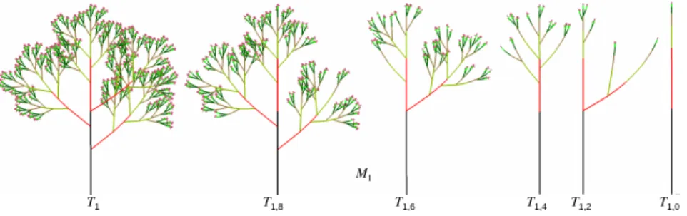 Figure 9: Deterministic model T 1 and 5 of its random versions from the plant samples T 1,8 , T 1,6 , T 1,4 , T 1,2 , T 1,0