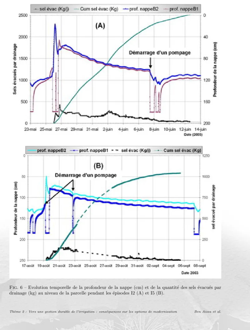 Fig. 6 – Evolution temporelle de la profondeur de la nappe (cm) et de la quantit´ e des sels ´ evacu´ es par drainage (kg) au niveau de la parcelle pendant les ´ episodes I2 (A) et I5 (B).