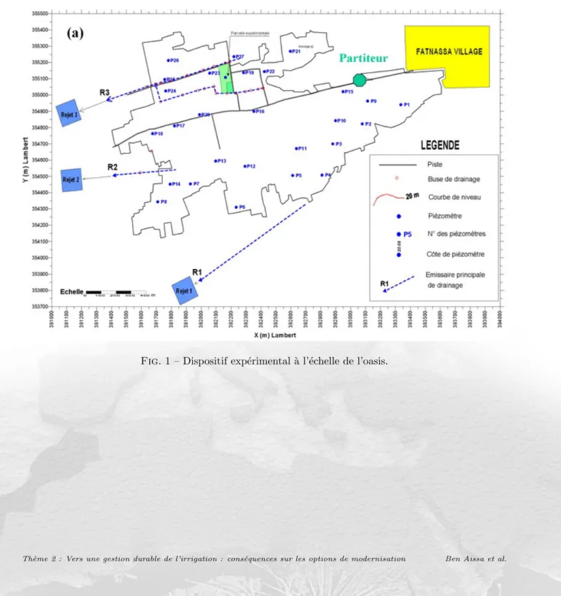 Fig. 1 – Dispositif exp´ erimental ` a l’´ echelle de l’oasis.