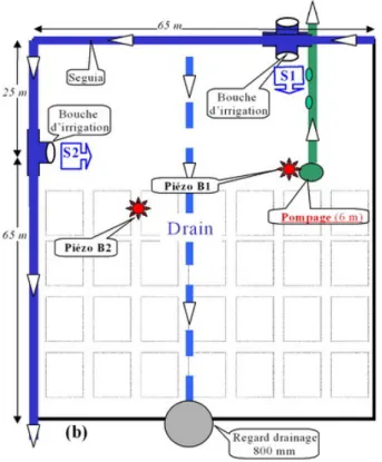 Fig. 2 – Dispositif exp´ erimental ` a l’´ echelle de la parcelle.
