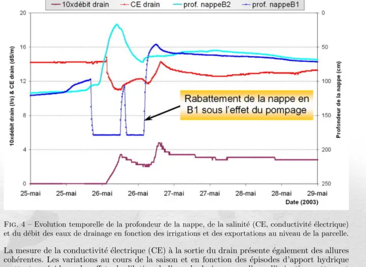 Fig. 4 – Evolution temporelle de la profondeur de la nappe, de la salinit´ e (CE, conductivit´ e ´ electrique) et du d´ ebit des eaux de drainage en fonction des irrigations et des exportations au niveau de la parcelle.