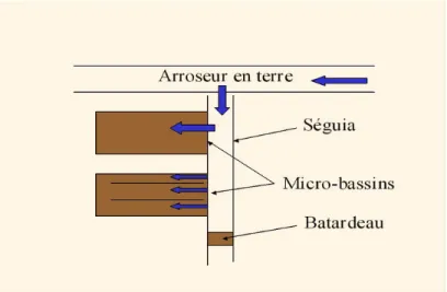 Fig. 1 – Principe du syst` eme de la robta.