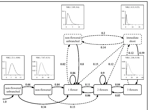 Fig. 6. Estimated hidden hybrid Markov/semi-Markov chain.