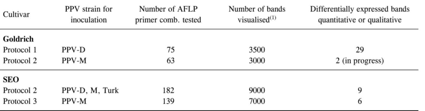 Table 1. Summary of cDNA-AFLP analysis performed on apricot Goldrich and SEO cultivars