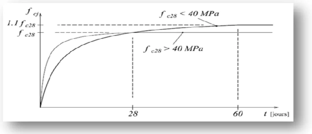 Figure I.1.Evolution de la résistance f cj  en fonction de l’âge du béton. 