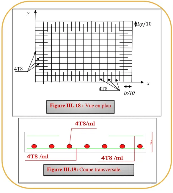 Figure III.19: Coupe transversale. 