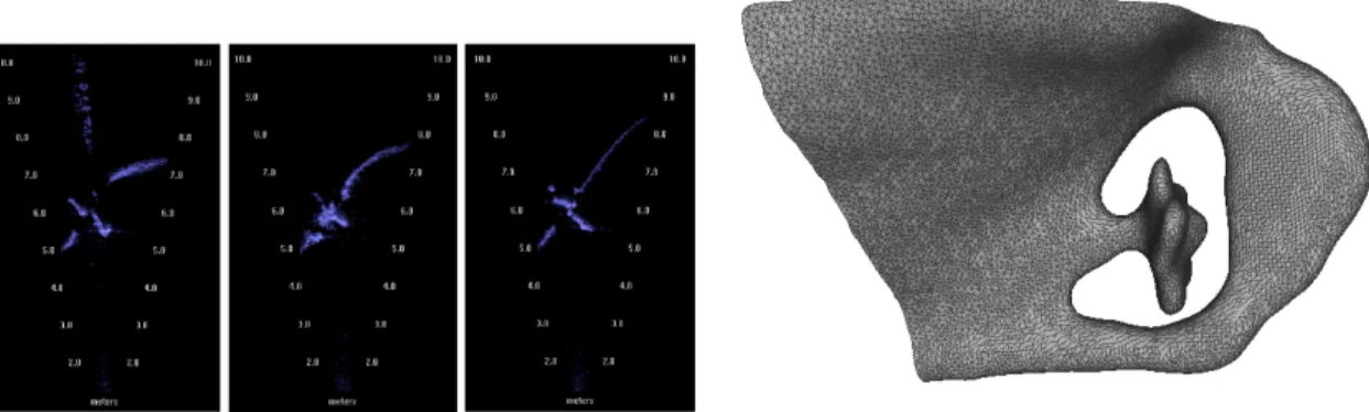 Figure 3: An example of the raw data, and subsequent result, of the surface construction procedure.