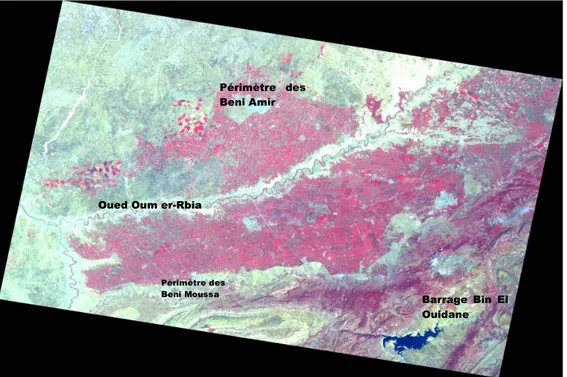 Figure 1. Image satellite montrant l’agriculture irriguée dans la plaine du Tadla.