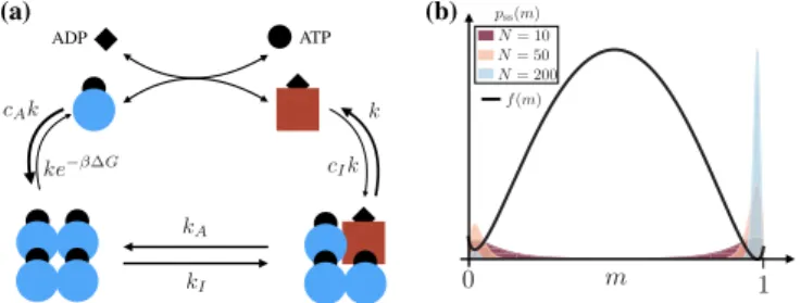 FIG. 1. Thermodynamically consistent model of actively regen- regen-erating cooperative self-assembly process