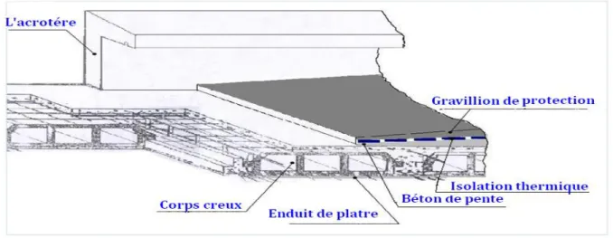 Figure II.7 : Plancher terrasse (corps creux) 