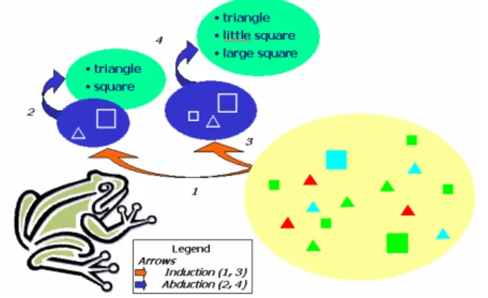 Figure 2 : Induction/Abduction cycle. 