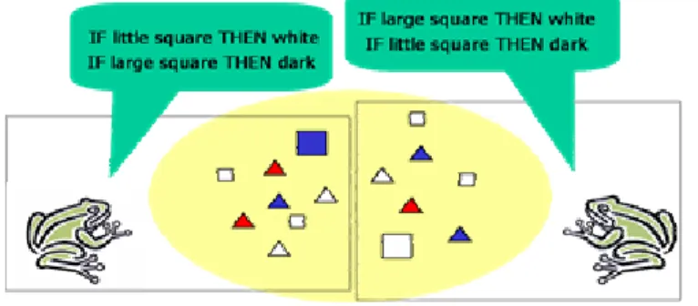 Figure 3: Agent local horizon. 
