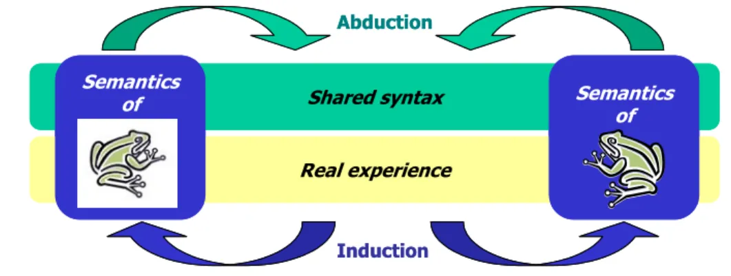 Figure 5: major flows in conceptual framework 