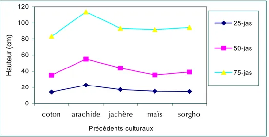 Figure 6. Croissance végétative des cotonniers sous différents précédents culturaux.