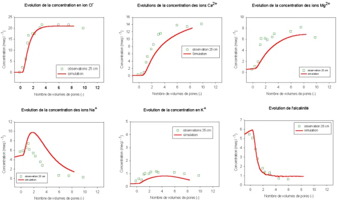 Figure 3. Comparison between observed and simulated elution curves at 25 cm 