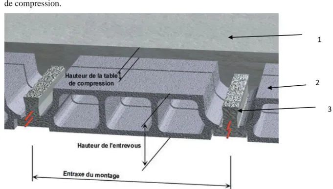 Figure 2.1 : Dessin d’un plancher en corps creux 