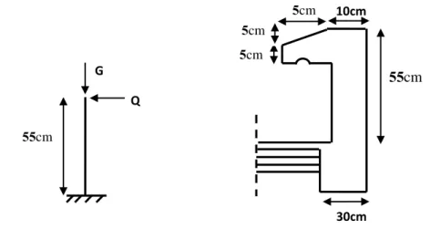 Figure 3.1 : Acrotère terrasse inaccessible 