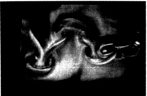 FIGURE  11.  Larger  view  of  wake  for  mode  1  downstream  of  the  foil.  Conditions  as  in  figure  5