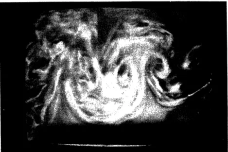 FIGURE  12. Larger view of wake  for mode  3, downstream  of  the foil.  Conditions  as in figure 9.