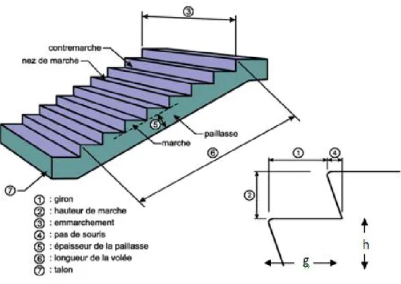 Figure II.7. Les différents éléments constituants un  escalier 