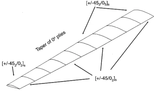Figure  3-2:  Base  WASP  layout  and  layup